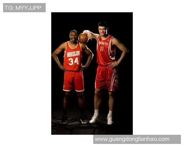 姚明追梦之旅从篮球少年到国际巨星的奋斗历程